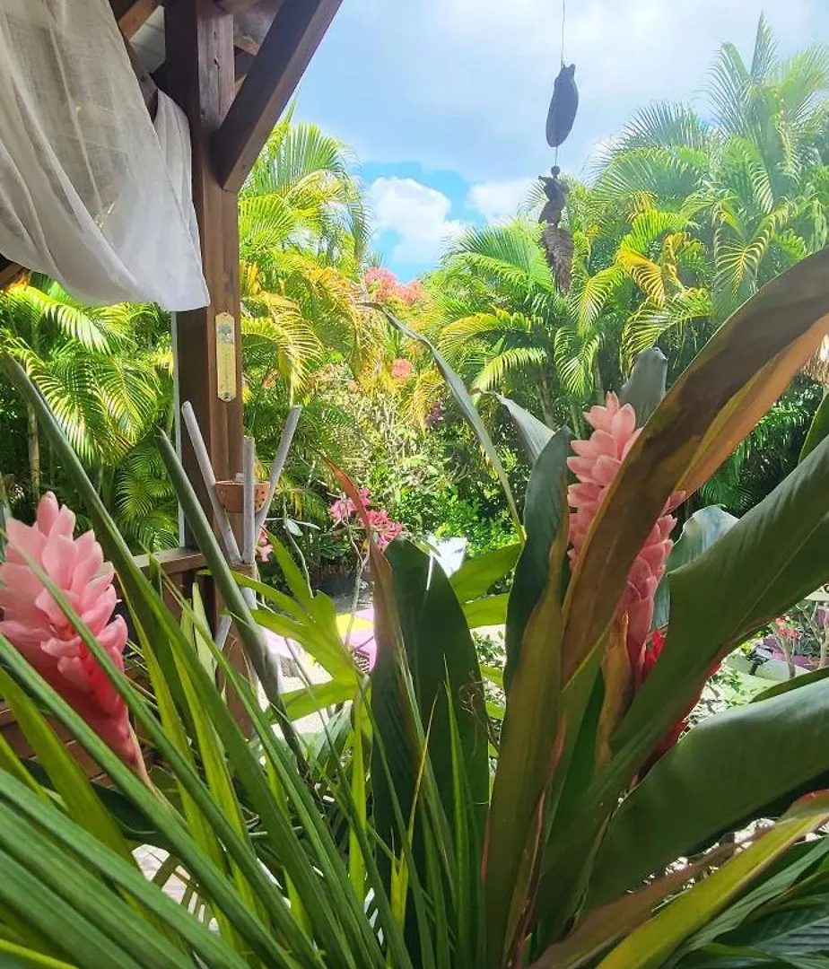 Joli Gite Au Calme Dans Un Ecrin De Verdure Sainte-Anne  Holiday home